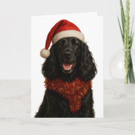 Weihnachtskarte für schwarzen Cocker Spaniel Karte