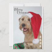 Weihnachtskarte Hund Haustier Foto Collage Einladung (Vorderseite)