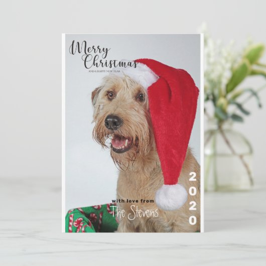 Weihnachtskarte Hund Haustier Foto Collage Einladung (Stehend Vorderseite)