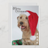 Weihnachtskarte Hund Haustier Foto Collage Einladung (Vorne/Hinten)