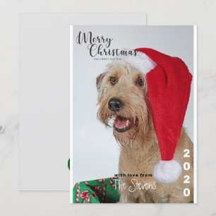 Weihnachtskarte Hund Haustier Foto Collage Einladung