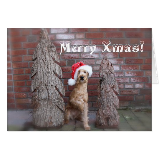 Weihnachtskarte "Irish Terrier" Karte