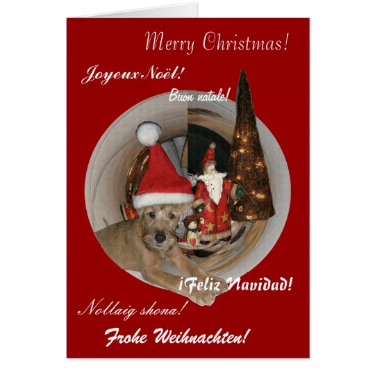 Weihnachtskarte "Irish Terrier" Karte