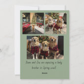 Weihnachtskarte - Je mehr, desto besser Feiertagskarte (Rückseite)