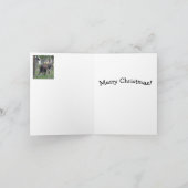 Weihnachtskarte - Känguru Karte (Innenseite)