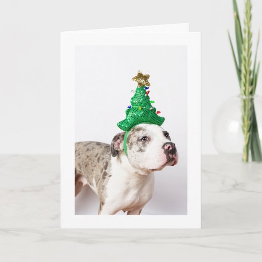 Weihnachtskarte Karte (Vorderseite)