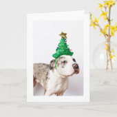 Weihnachtskarte Karte (Gelbe Blume)
