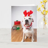 Weihnachtskarte Karte (Gelbe Blume)