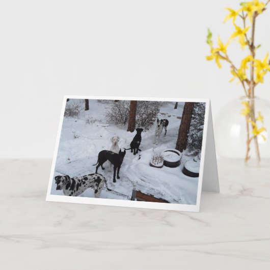 Weihnachtskarte Karte (Gelbe Blume)