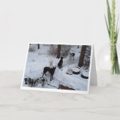 Weihnachtskarte Karte (Vorderseite)