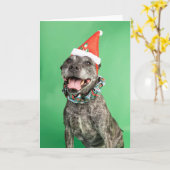 Weihnachtskarte Karte (Gelbe Blume)