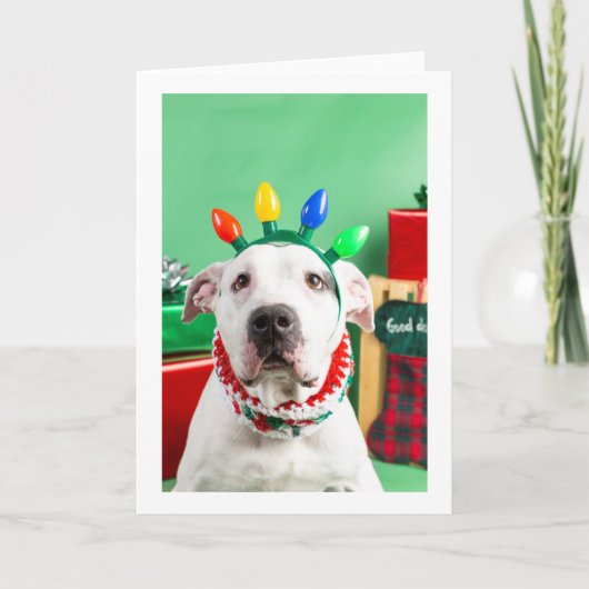 Weihnachtskarte Karte (Vorderseite)