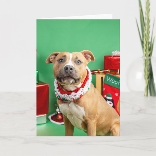 Weihnachtskarte Karte (Vorderseite)