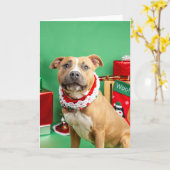 Weihnachtskarte Karte (Gelbe Blume)