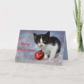 Weihnachtskarte Karte (Vorderseite)