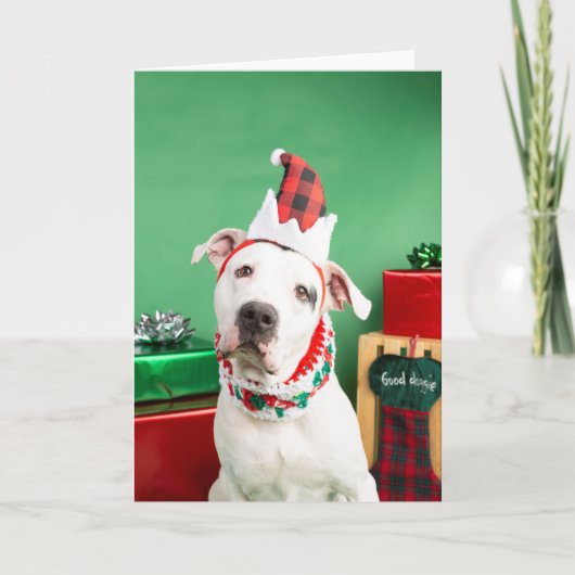 Weihnachtskarte Karte (Vorderseite)