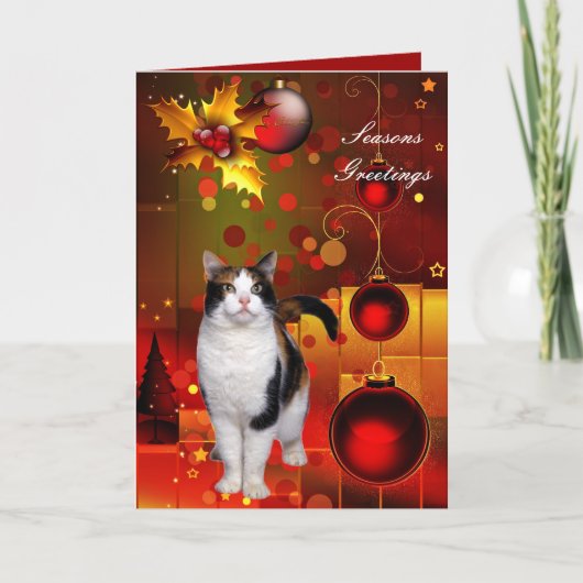 Weihnachtskarte Katze Feiertagskarte (Vorderseite)