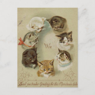 Weihnachtskarte Katzen Weihnachten Postkarte