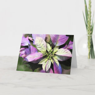Weihnachtskarte - Lavendel Poinsettia Feiertagskarte
