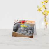 Weihnachtskarte - Merlin the Cat Snoozing Karte (Gelbe Blume)