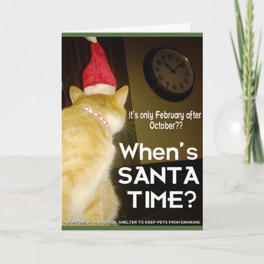 Weihnachtskarte mit ängstlicher Betrunkener Katze Feiertagskarte (Vorderseite)