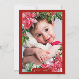 Weihnachtskarte mit Bild der Poinsettie-Blüte Feiertagskarte