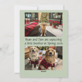 Weihnachtskarte mit der Ankündigung einer freudige (Rückseite)