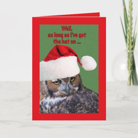 Weihnachtskarte mit Eule und Weihnachtsmannmütze Feiertagskarte (Vorderseite)