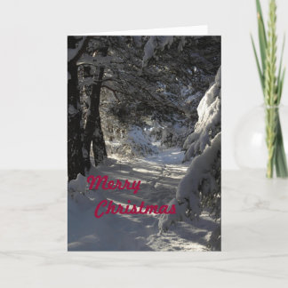 Weihnachtskarte mit Frohen Weihnachten. Feiertagskarte