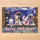 Weihnachtskarte mit Funny Funny Funny Farm Animal  Acryleinladungen (Vorderseite)