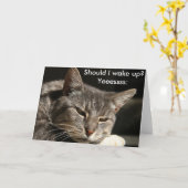 Weihnachtskarte mit Katze: Soll ich geweckt werden Karte (Gelbe Blume)