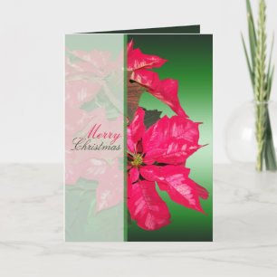 Weihnachtskarte mit religiöser Poinsettie Feiertagskarte