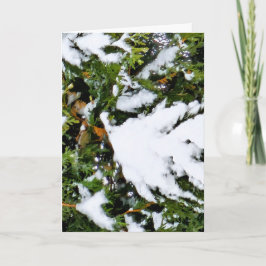 Weihnachtskarte mit Schnee auf Zweigen Karte
