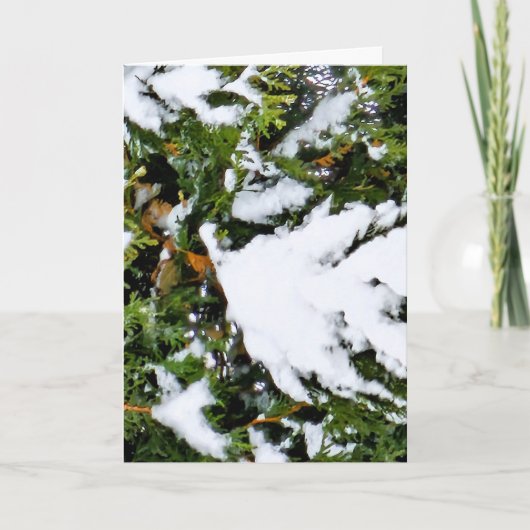 Weihnachtskarte mit Schnee auf Zweigen Karte (Vorderseite)