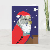Weihnachtskarte mit Sittich als Weihnachtsmann Karte (Vorderseite)