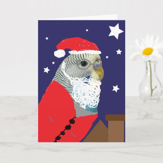 Weihnachtskarte mit Sittich als Weihnachtsmann Karte (Kleine Pflanze)