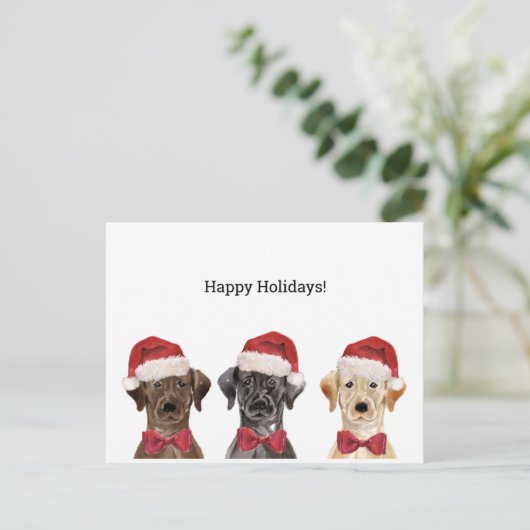 Weihnachtskarte mit Three Labrador Postkarte (Stehend Vorderseite)
