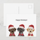 Weihnachtskarte mit Three Labrador Postkarte (Vorne/Hinten)