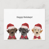 Weihnachtskarte mit Three Labrador Postkarte (Vorderseite)