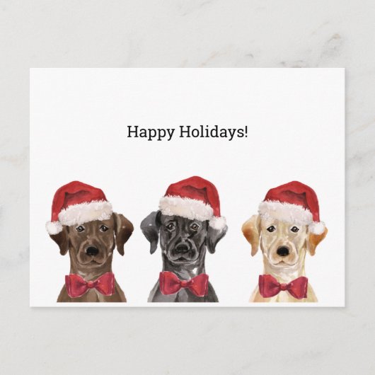 Weihnachtskarte mit Three Labrador Postkarte (Vorderseite)