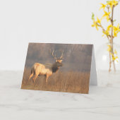 Weihnachtskarte mit Tule elk Karte (Gelbe Blume)