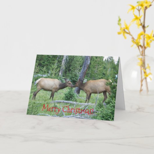Weihnachtskarte mit Yellowstone-Elch Karte (Gelbe Blume)