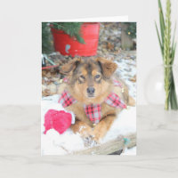 Weihnachtskarte - Rettung von Weihnachten
