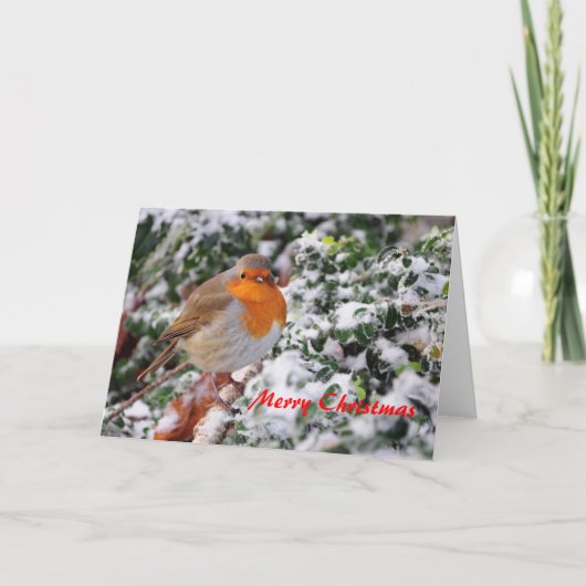 Weihnachtskarte Robins Redbreast Feiertagskarte (Vorderseite)