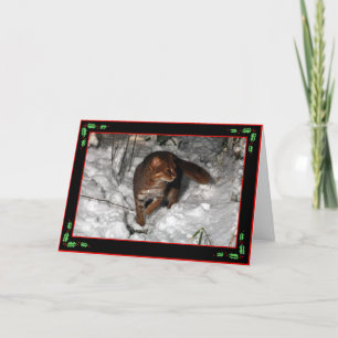 Weihnachtskarte - rostige gepunktete Katze Feiertagskarte