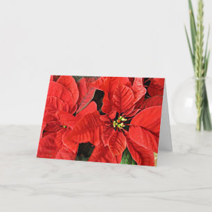 Weihnachtskarte Rote Poinsettias Feiertagskarte