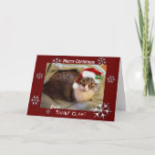 Weihnachtskarte "Sandy Claws" Feiertagskarte (Vorderseite)