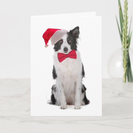 Weihnachtskarte Santa Border Collie Feiertagskarte (Vorderseite)