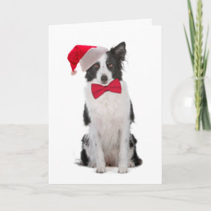 Weihnachtskarte Santa Border Collie Feiertagskarte