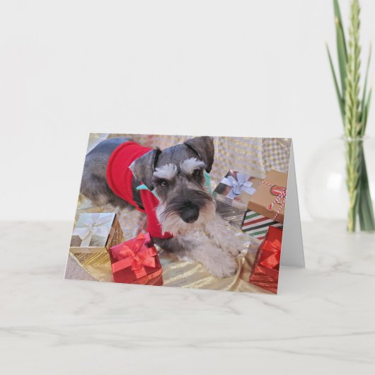 Weihnachtskarte Santa Schnauzer Feiertagskarte (Vorderseite)
